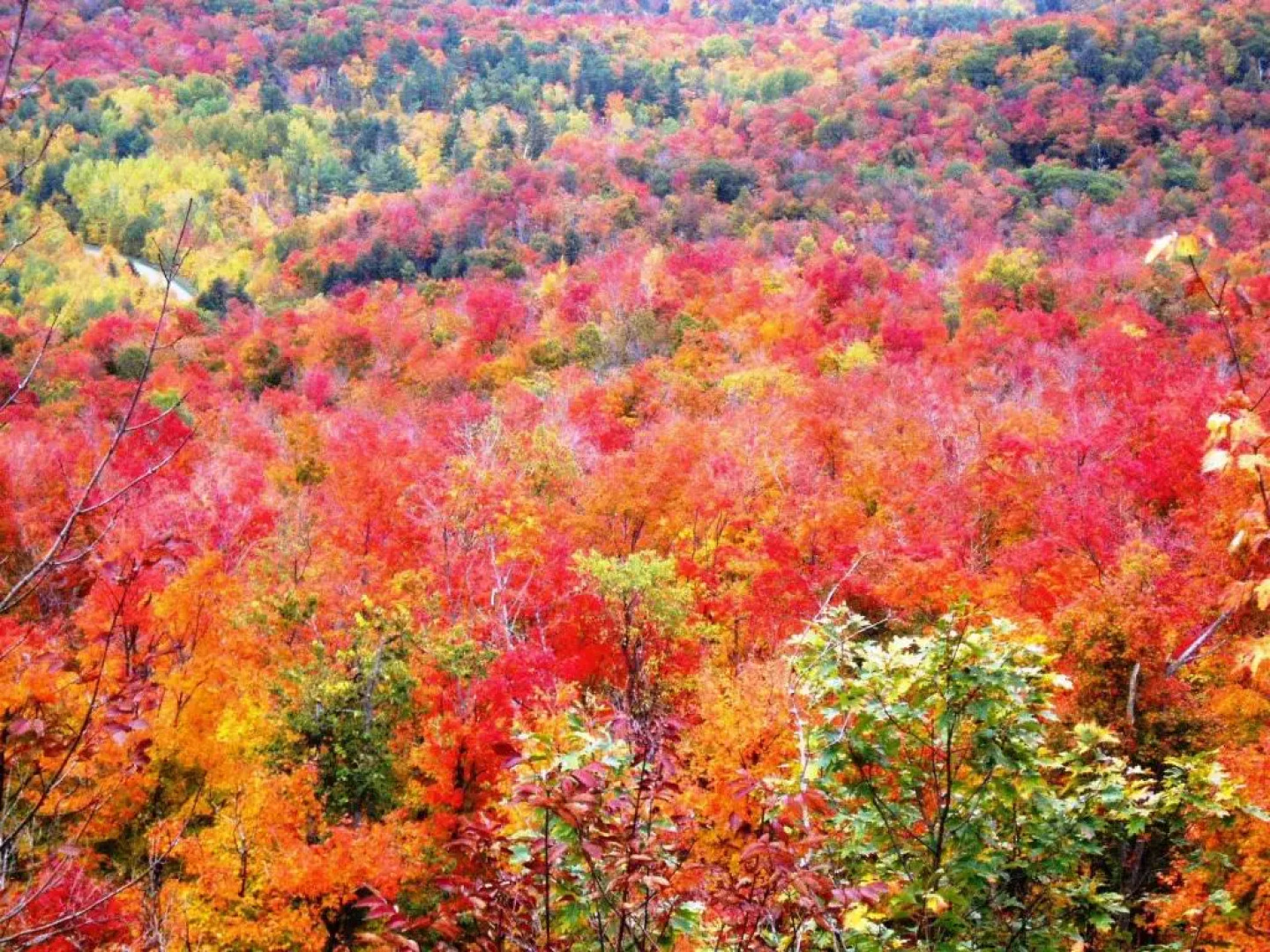 La Grange Country Inn