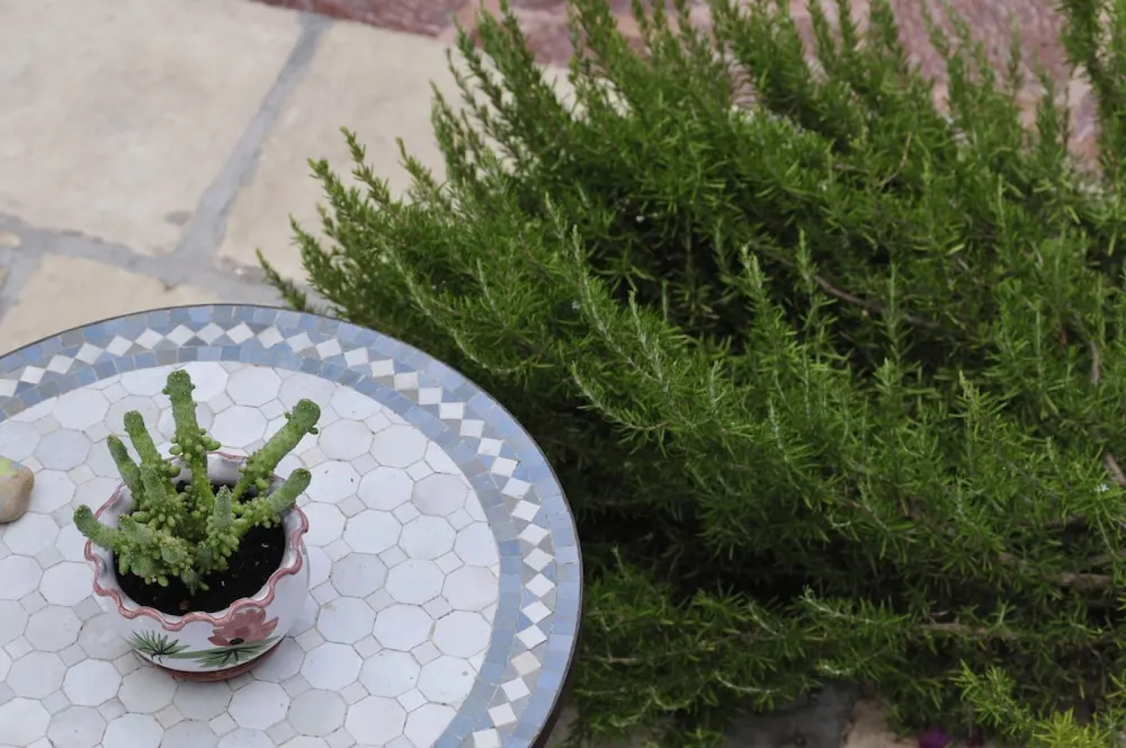 1880 Luxury Apartments