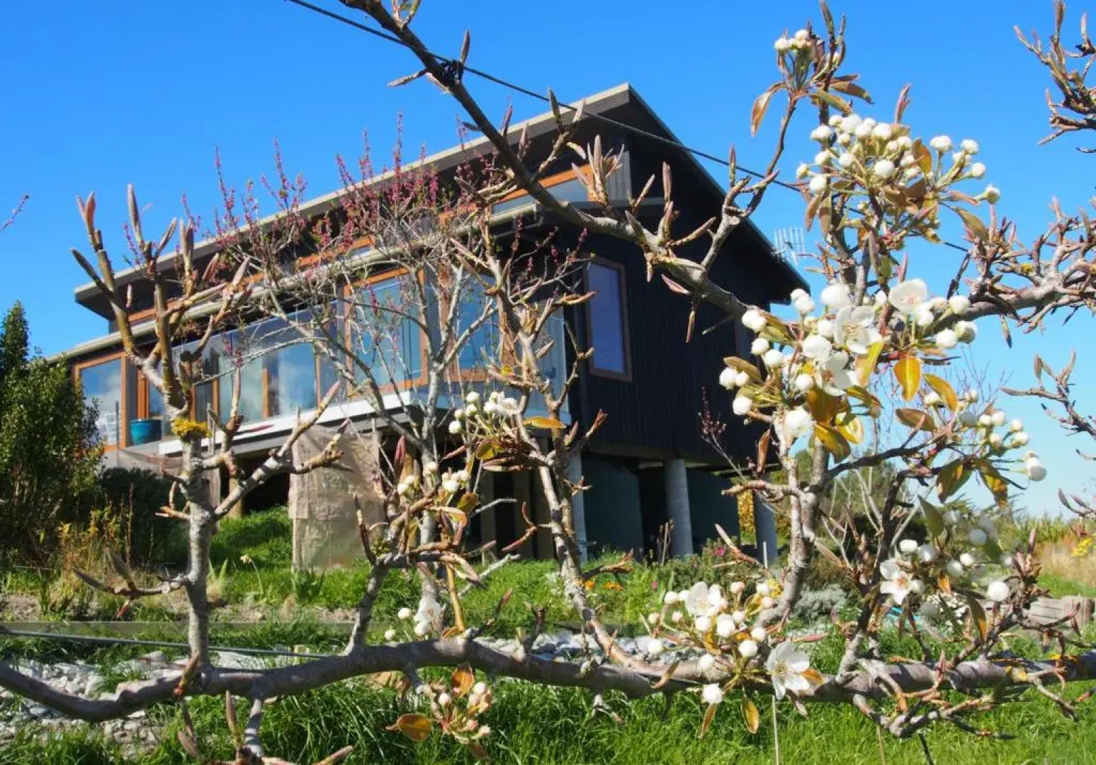 Kotare Bandb (Adults Only)