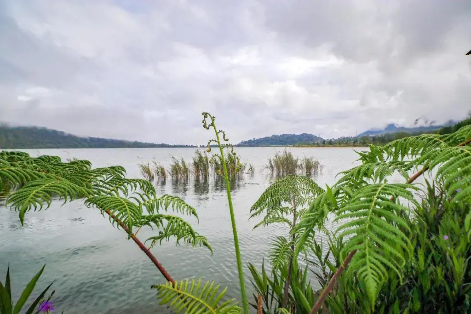 Diamond Glamping By BIO Management