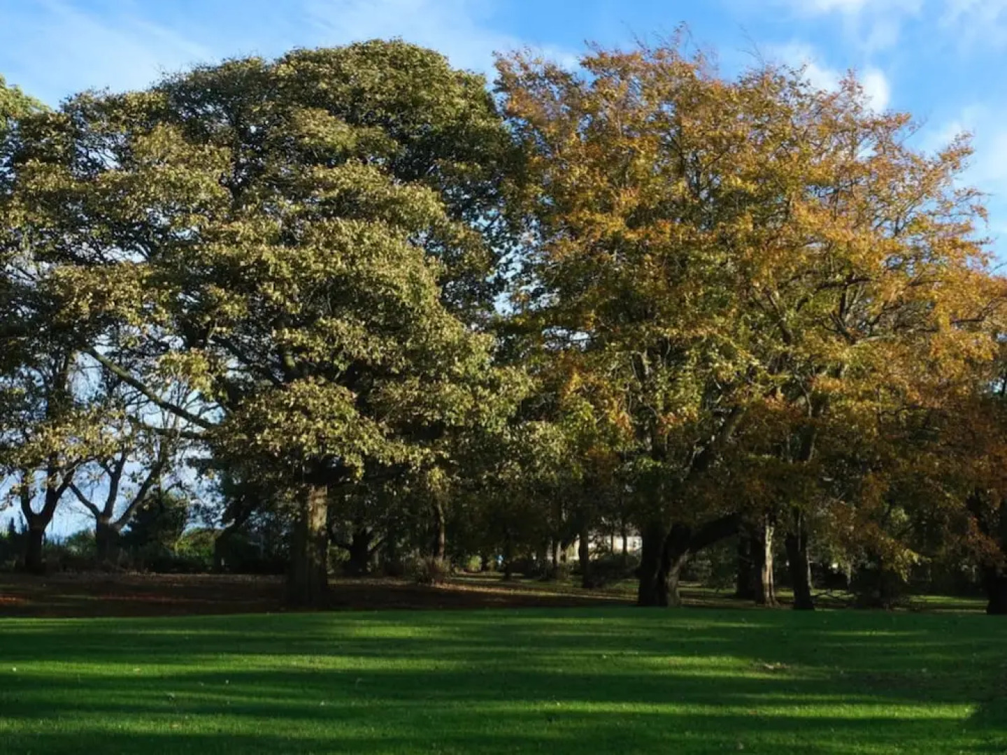 The Whitehouse Peterlee