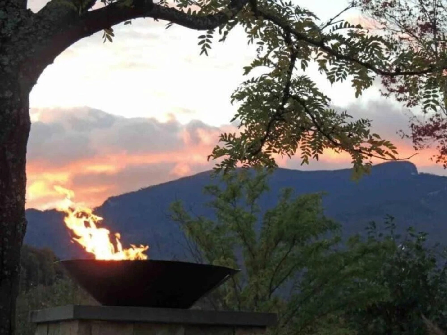 Pet Friendly Pines at Topnotch