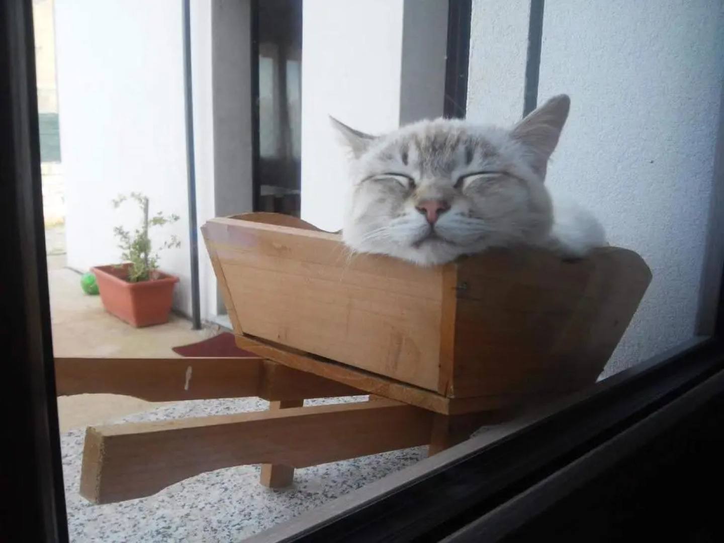 Alma bed & breakfast