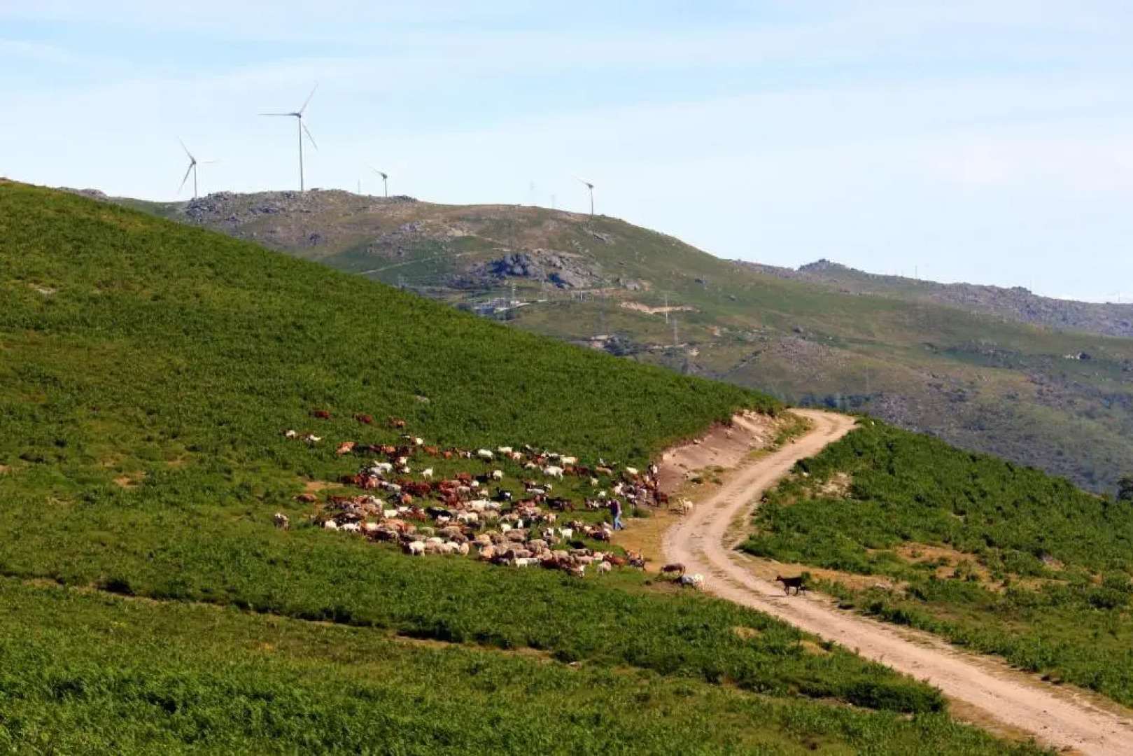 Casa do Vale de Cerdeiras