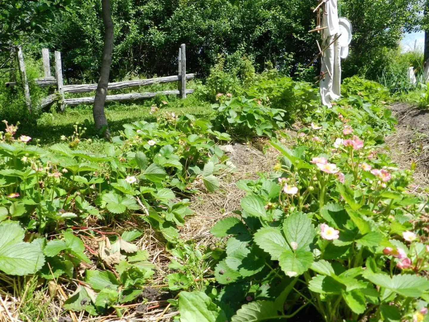 La Maison de L'Irlandais