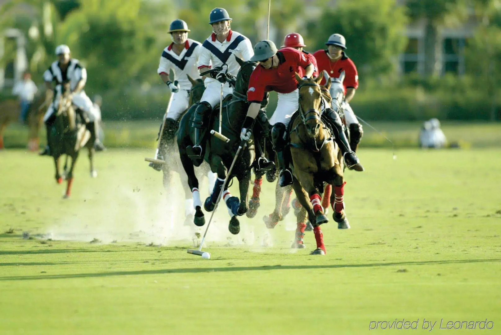 Doubletree By Hilton - Palm Beach Gardens