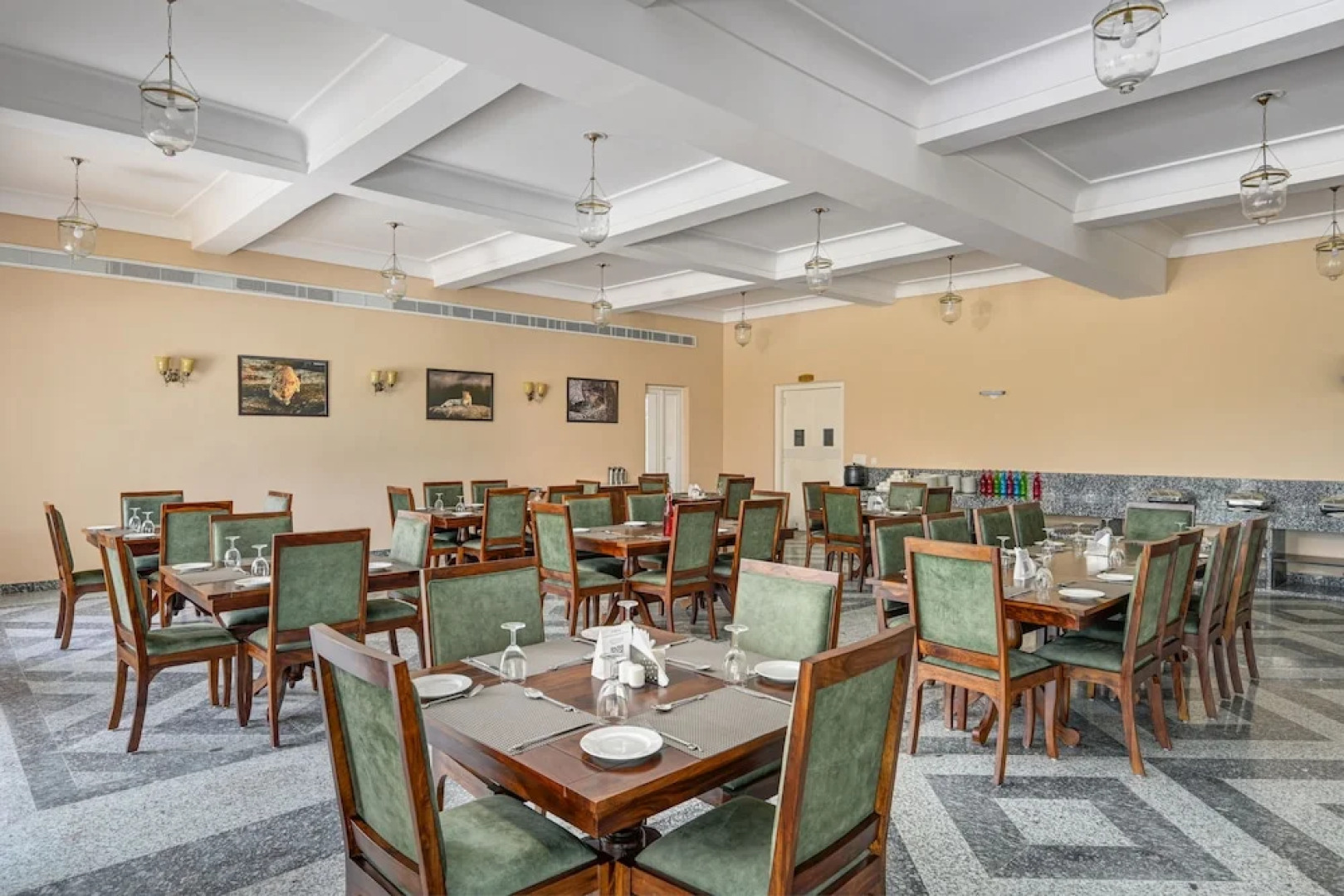 Trulyy The Jawai Leapord Kingdom