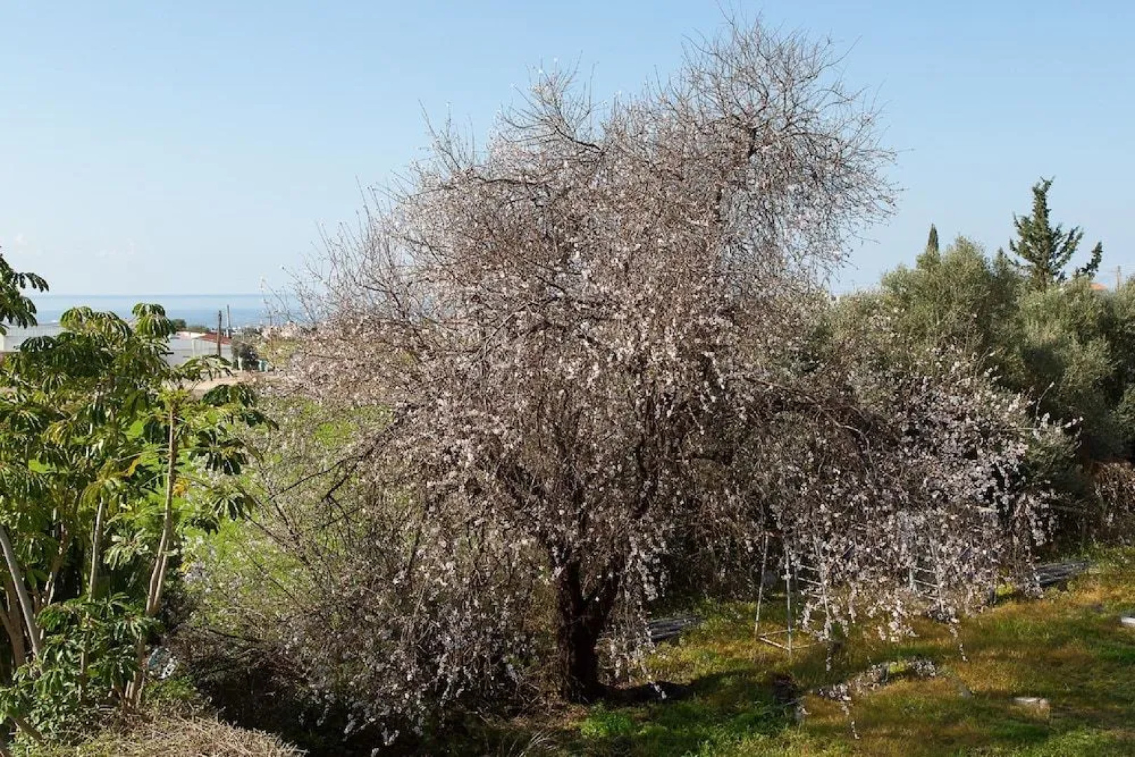 Coral Bay Sunkiss Villa