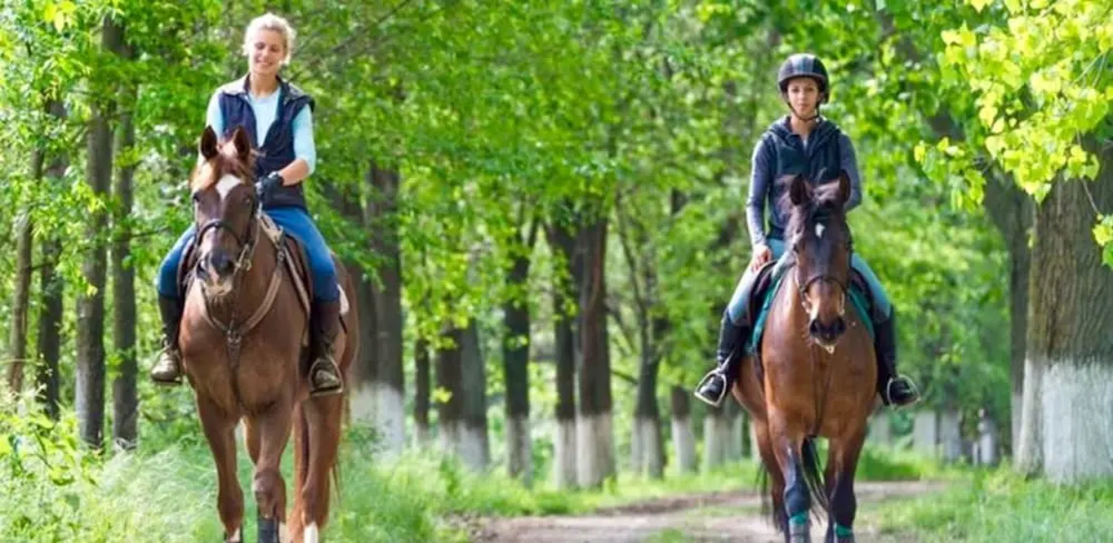 Howard Johnson Olmue