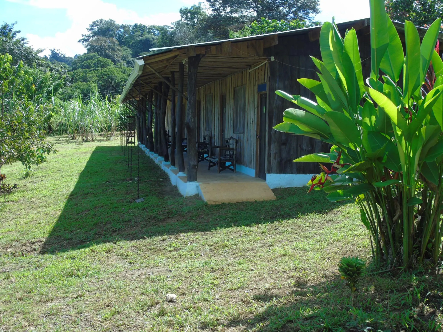 Hotel El Tesoro de Sir, Drake Bay
