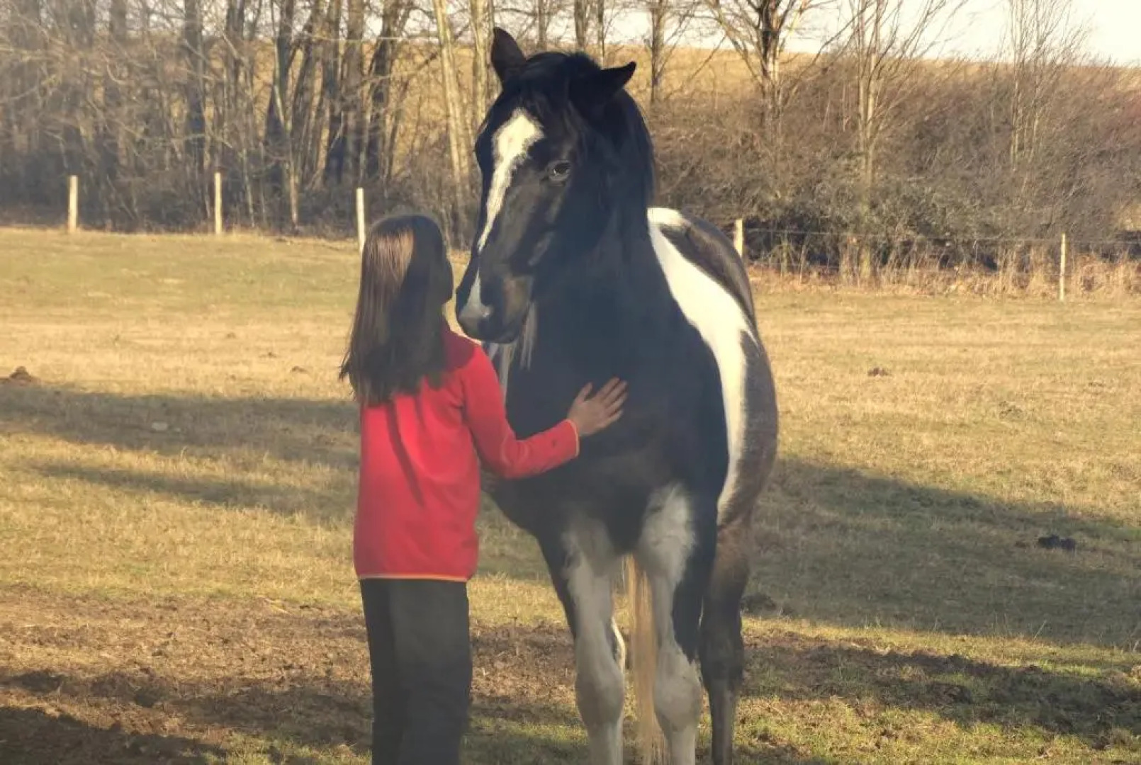 Apartmány U Šakala