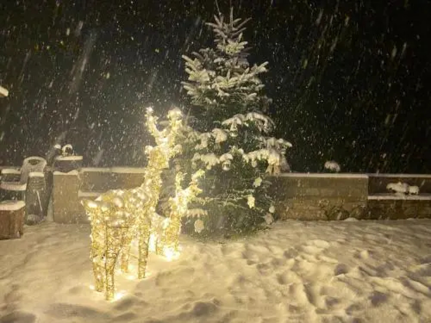 Apartaments Alta Muntanya