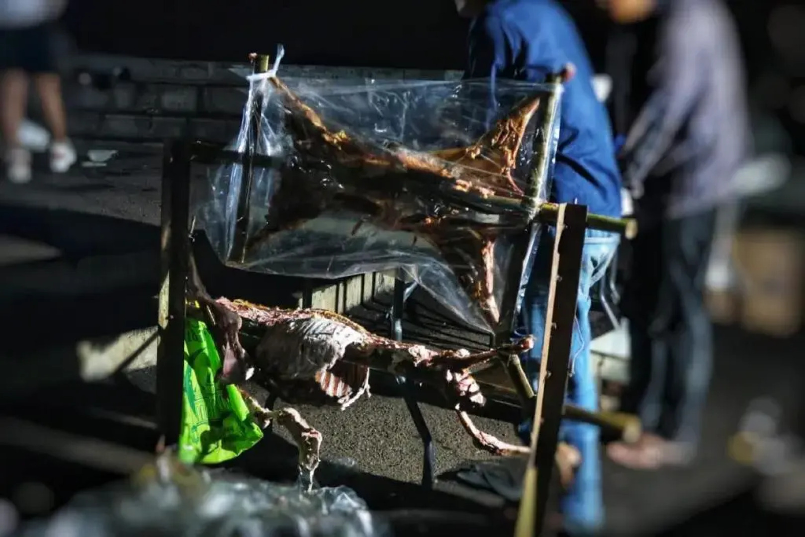 Bravo Adventure Glamping