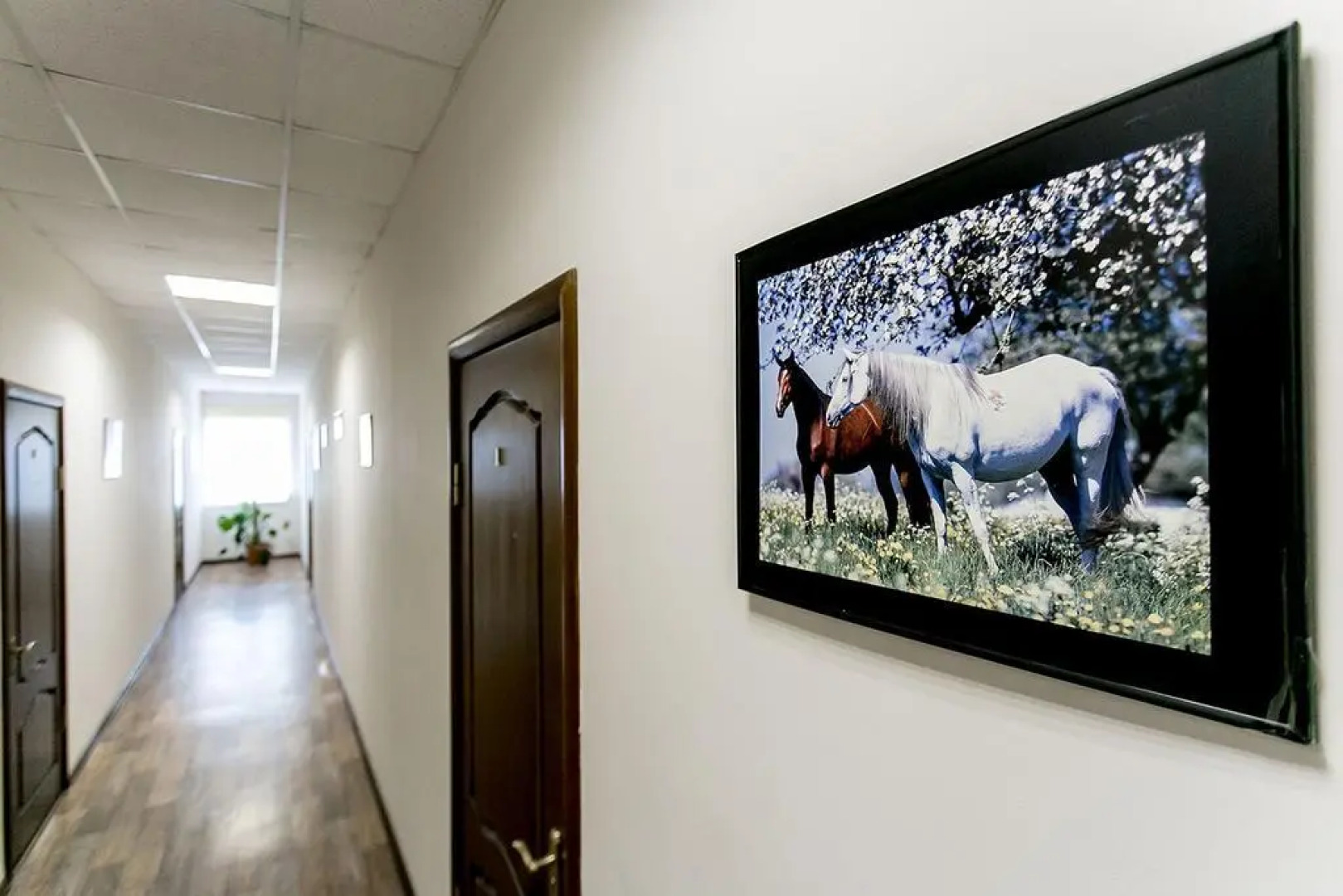 Отель «Белый Сад»