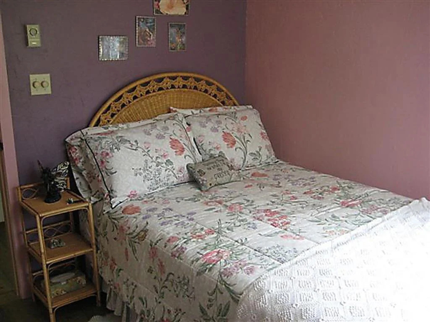 Mountain Springs Nature Retreat B&B