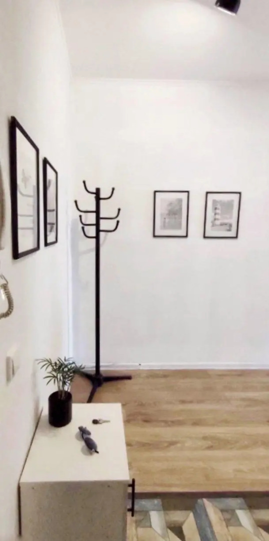 Солнечный эвкалипт на улице Крылова