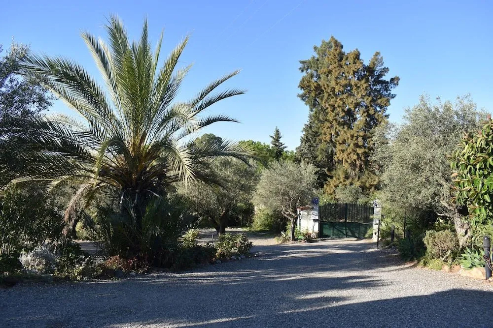 B&B Casa Palmera - Adults Only