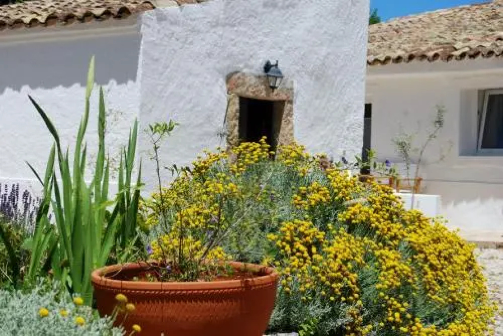 Farmhouse Of The Palms