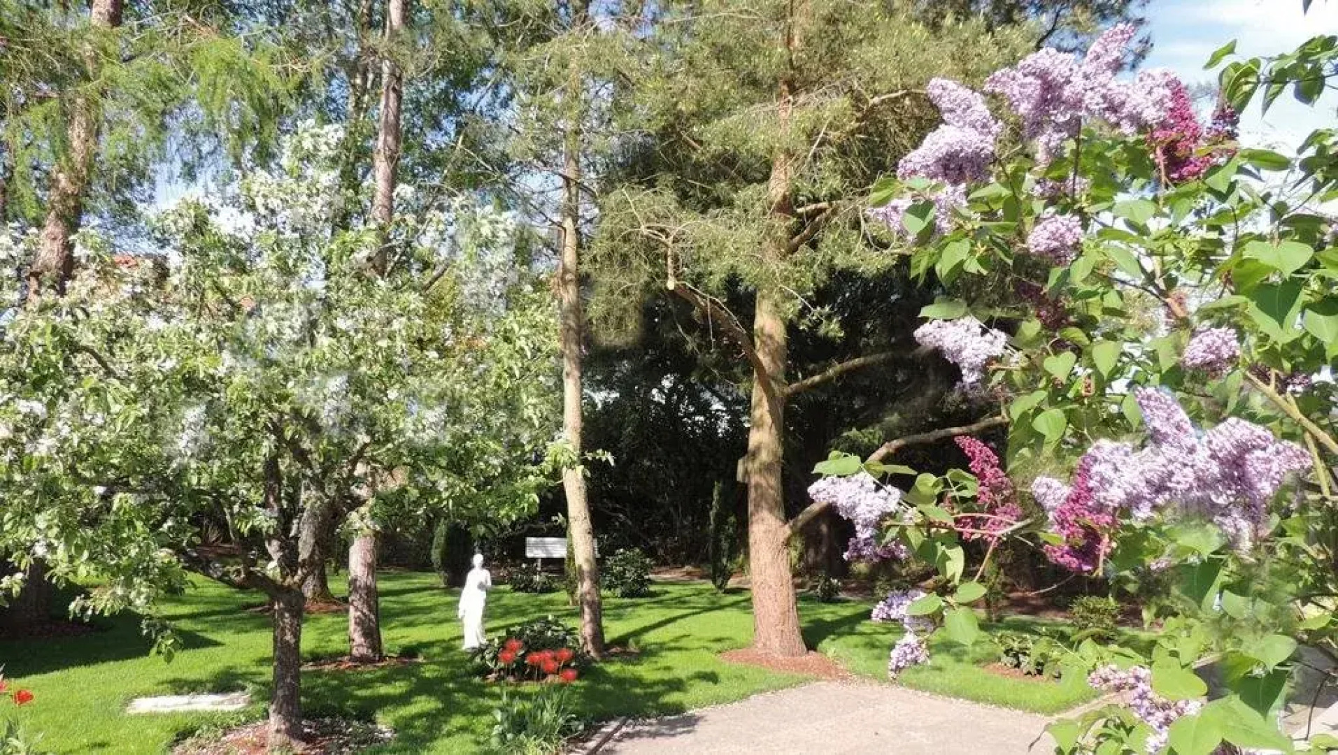 Sophia Spessarthäuser