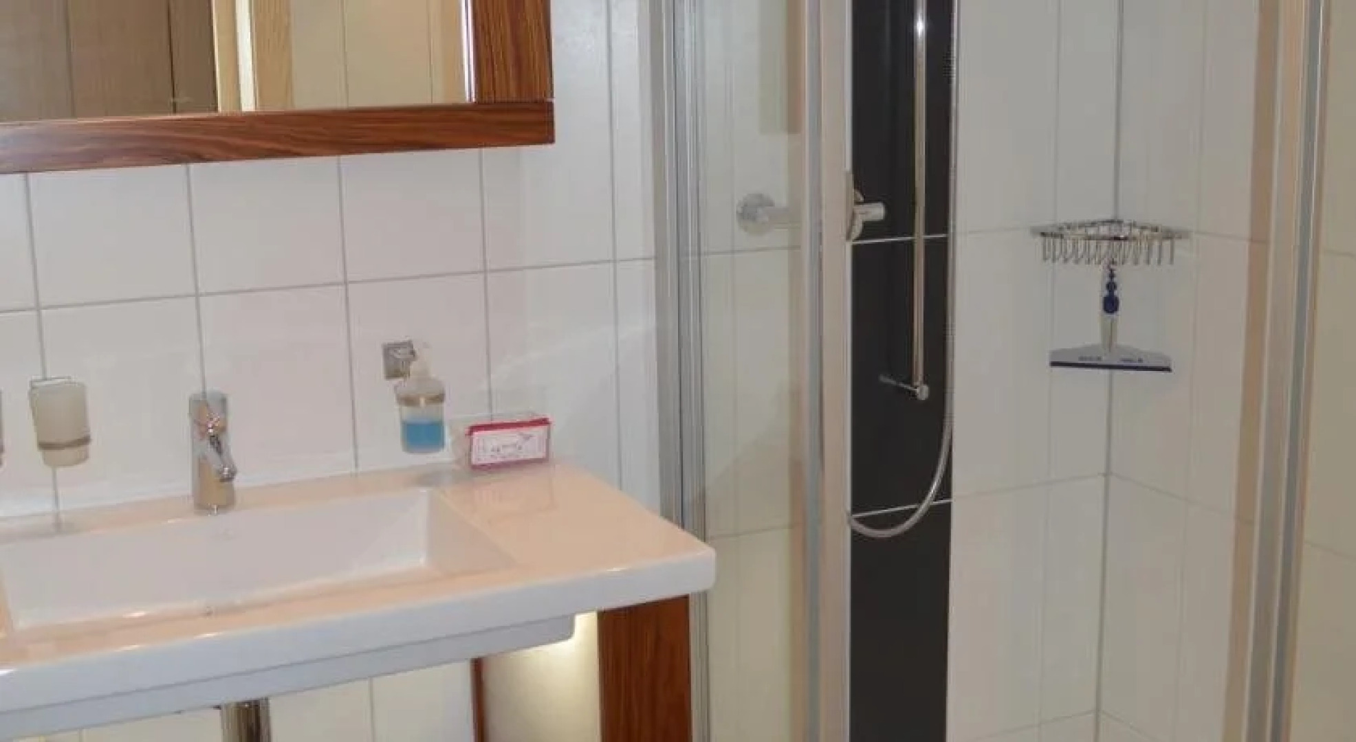 Hotel Restaurant Grimsel