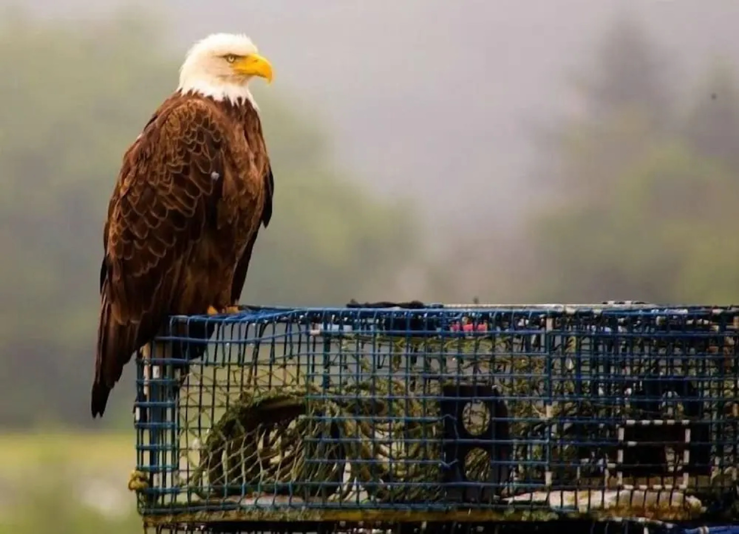 Picturesque Island Cottage 2 Bedroom Home by RedAwning
