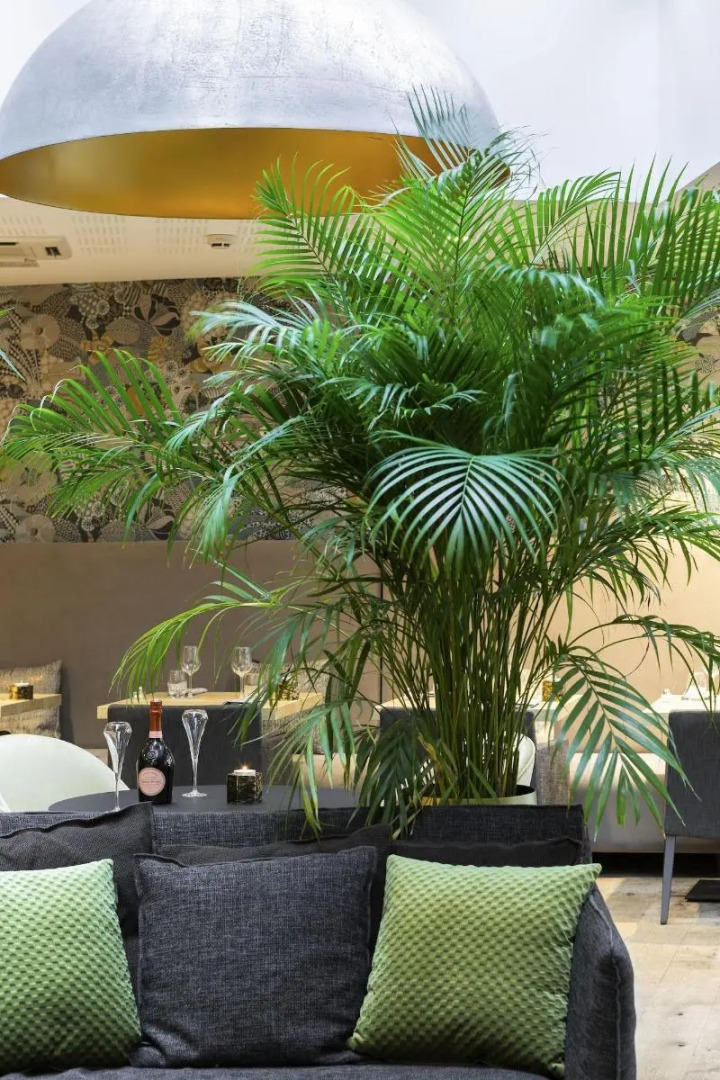 Edgar Hotel & Spa- Table Gastronomique