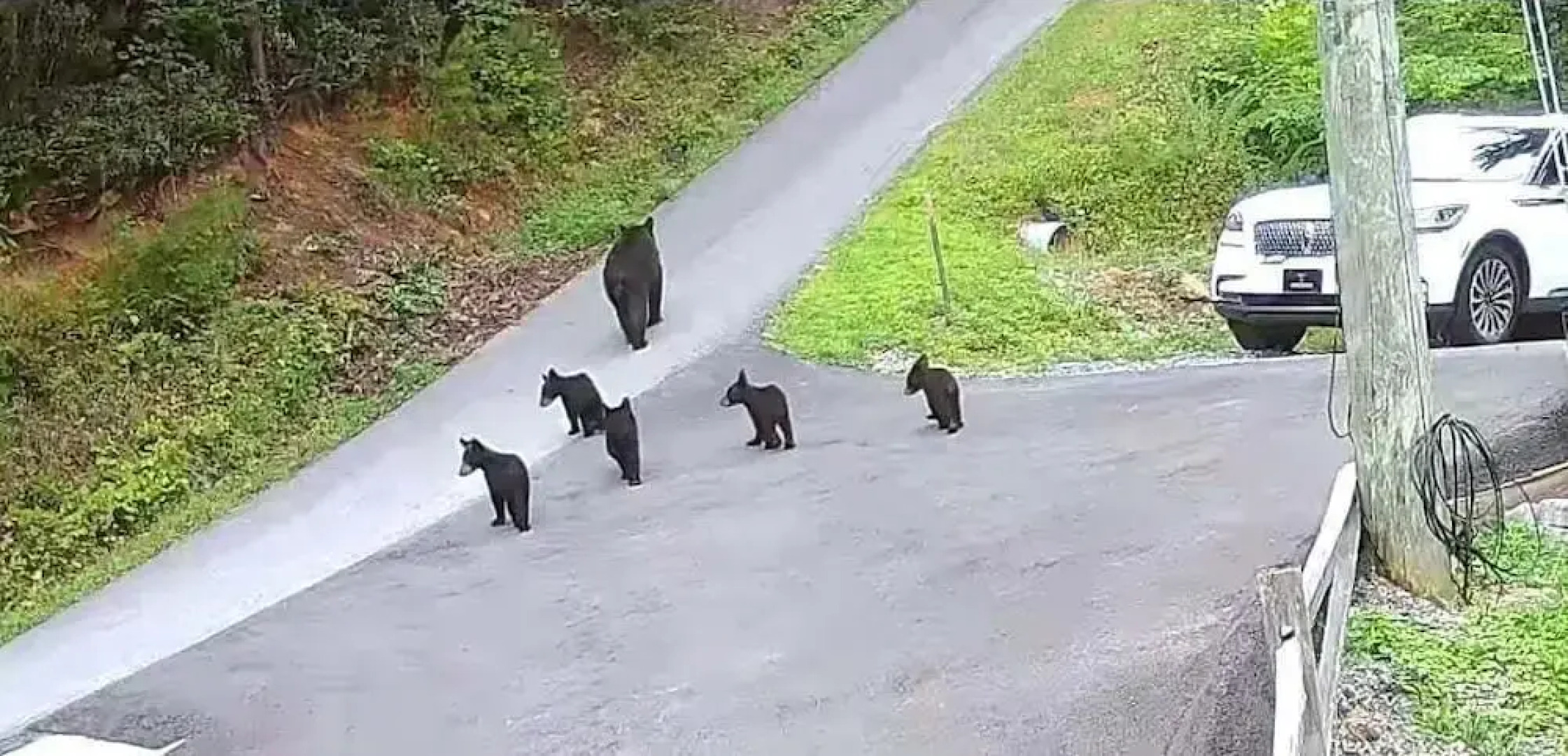 Roundtop Mountain Ridge