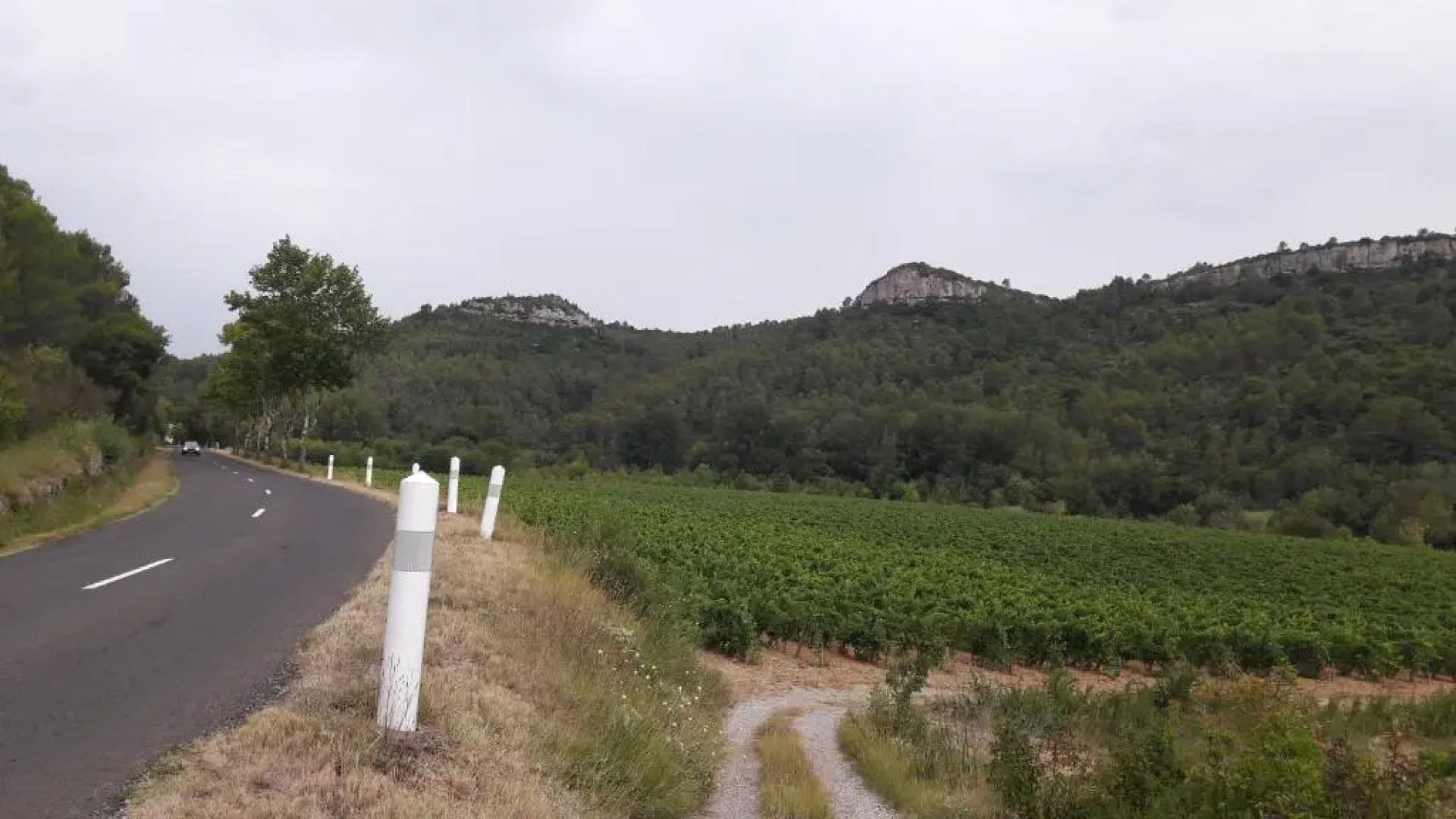 le clos des Vins d'anges