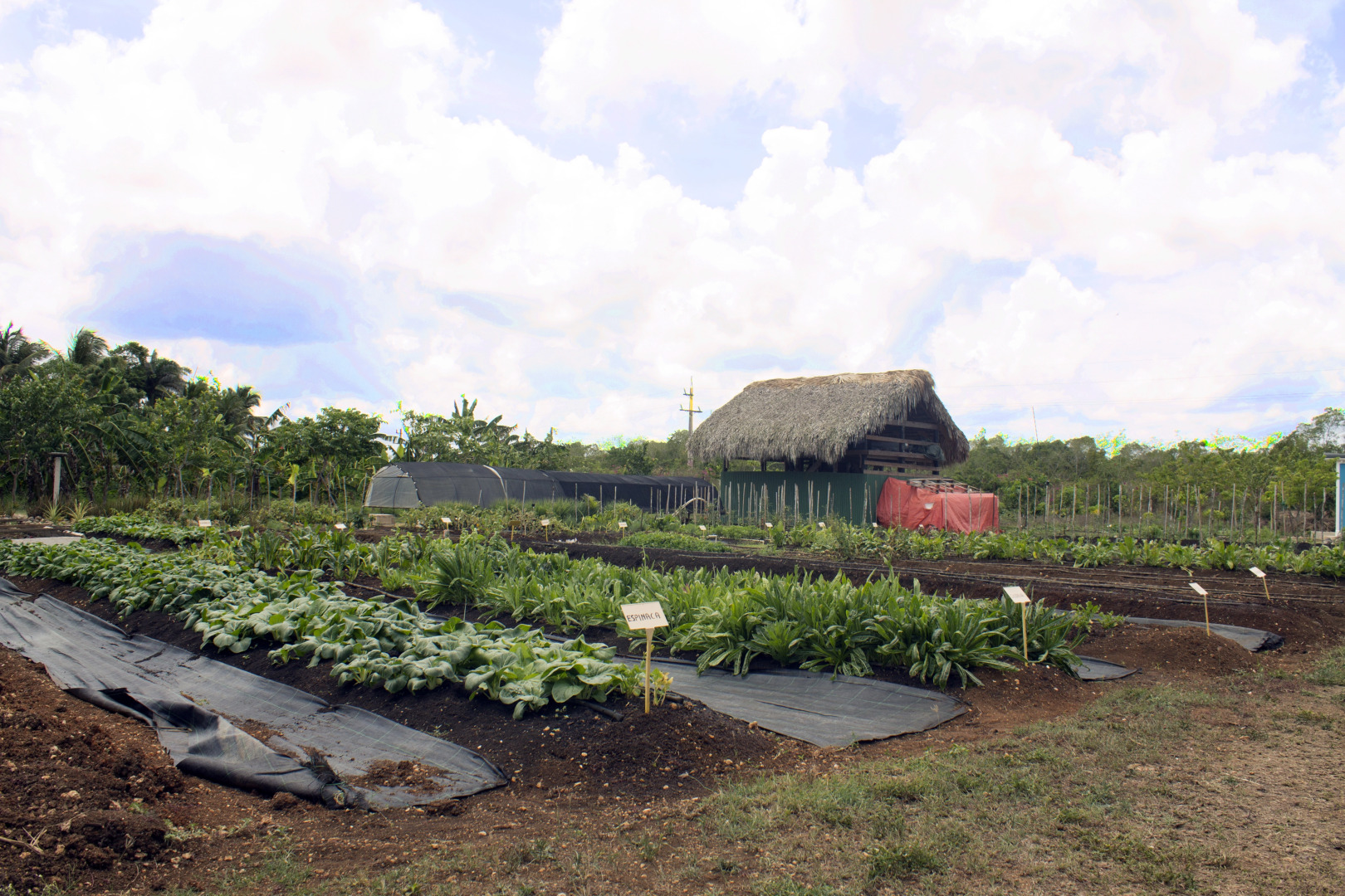 Hotel Caserma La Romana-Bayahibe