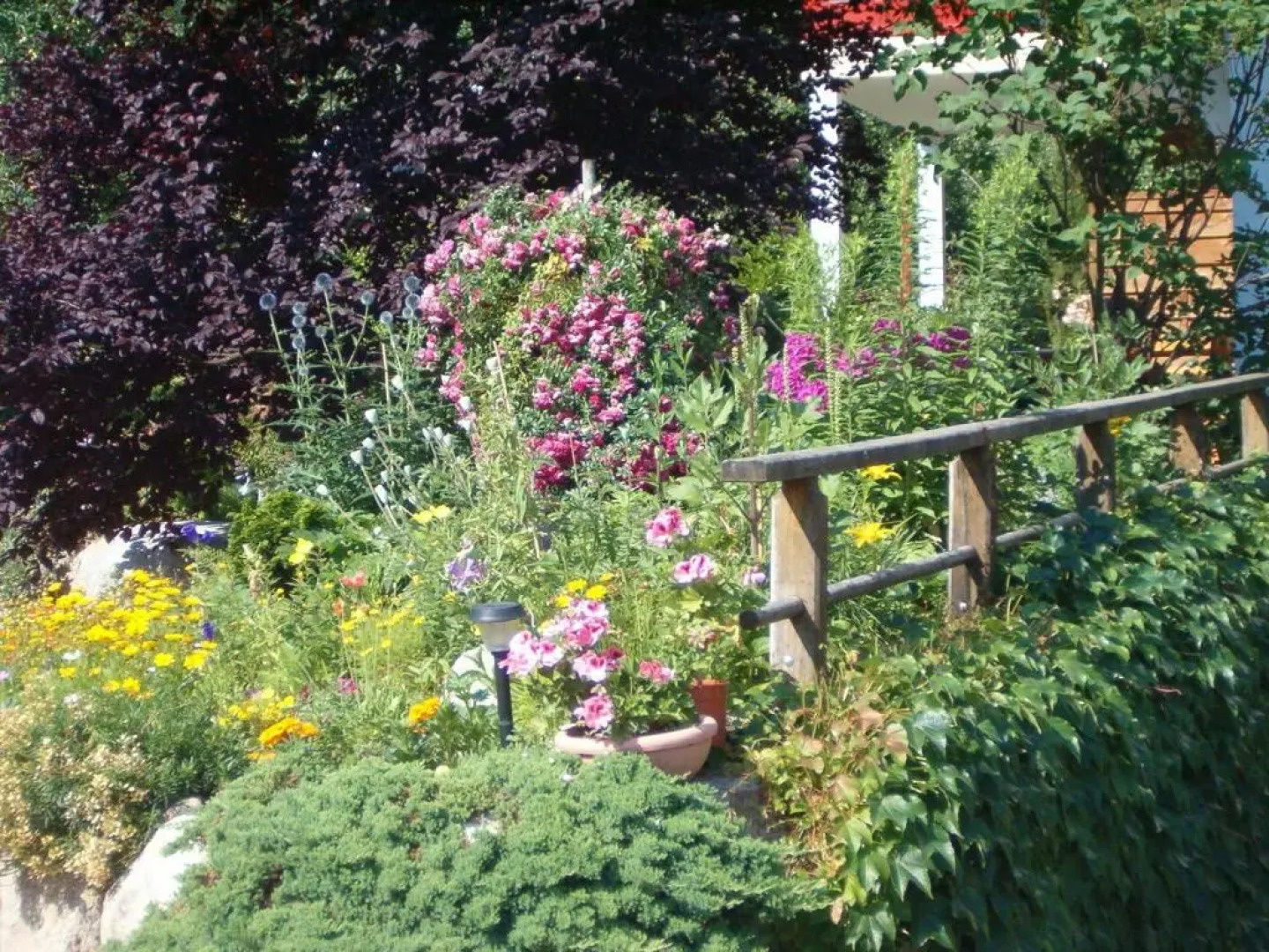 Ferienwohnungen Günzelgut