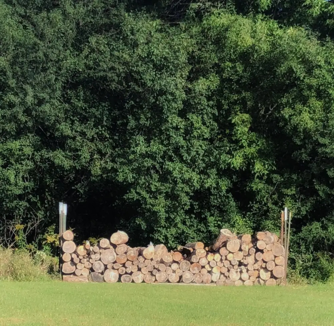 Green Bay Modern Memories