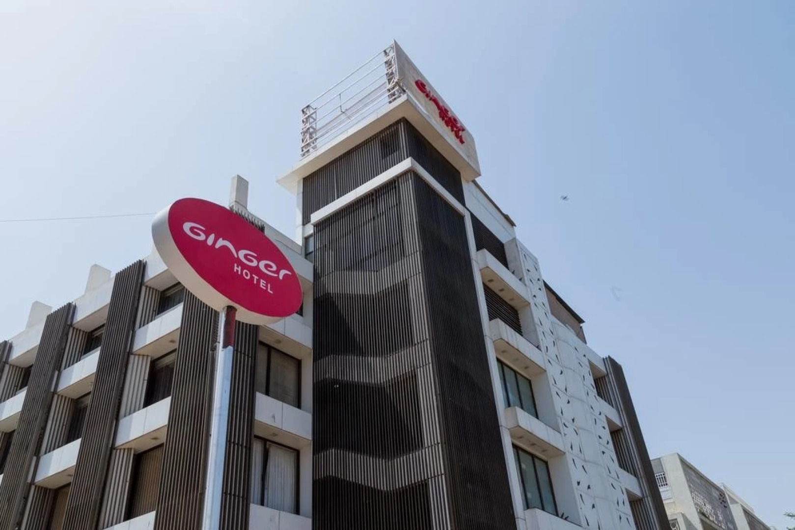 The White Leaf Hotel