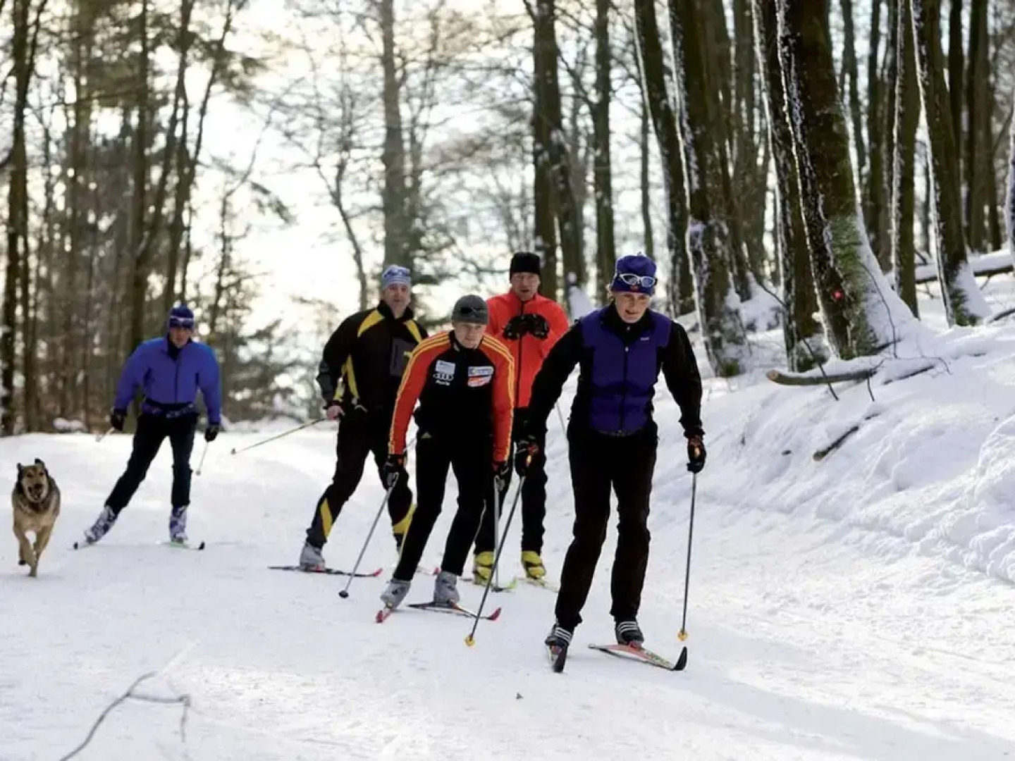 Apartment in Heringhausen Near Ski Lift