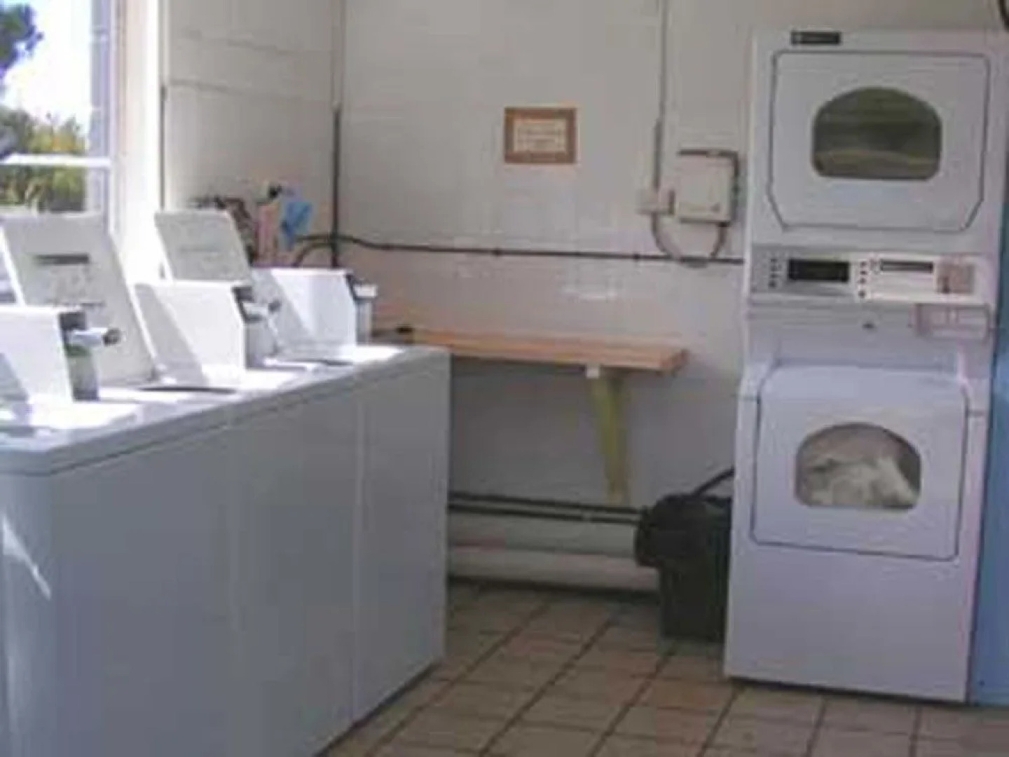 Scamander Tourist Park