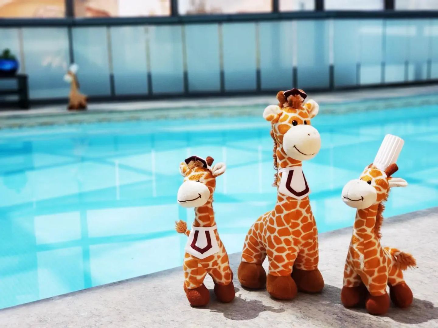 Marquis Reforma Hotel Spa