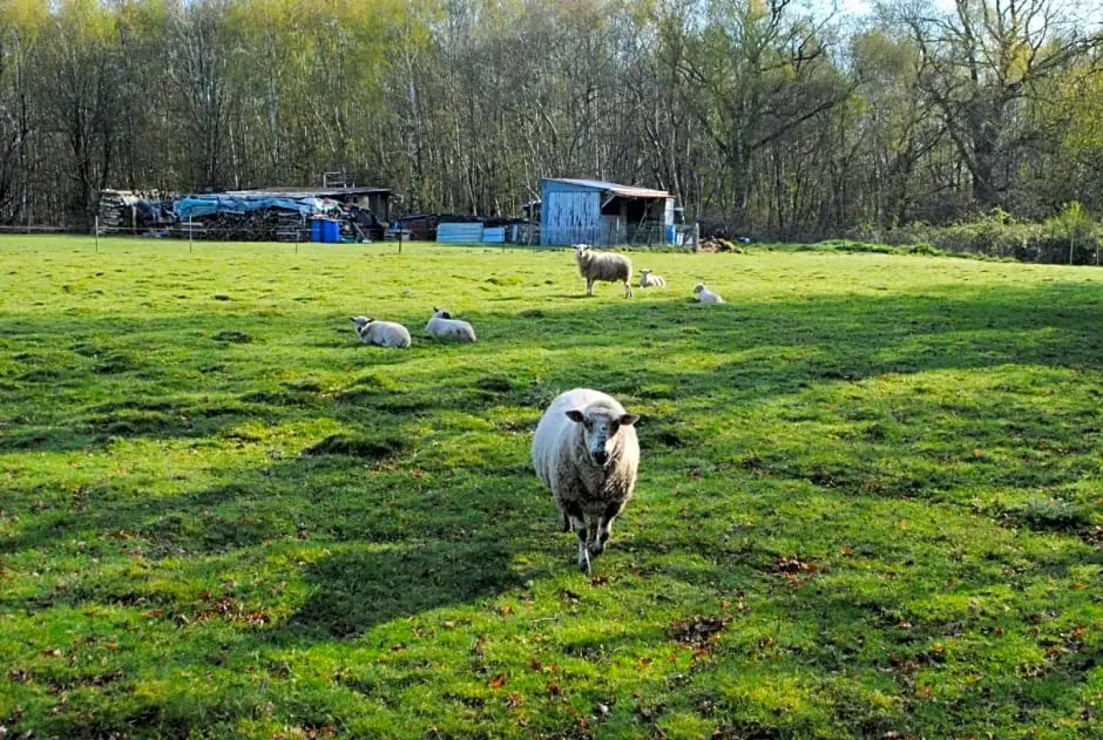 Chambres dhôtes La Tribu