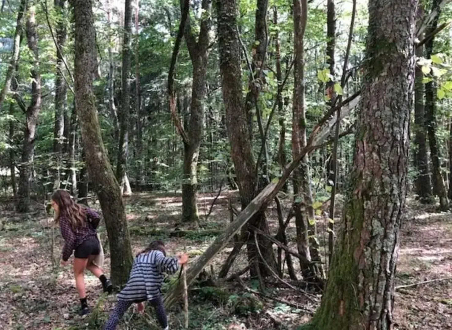 Holiday Home 2 Under the Trees