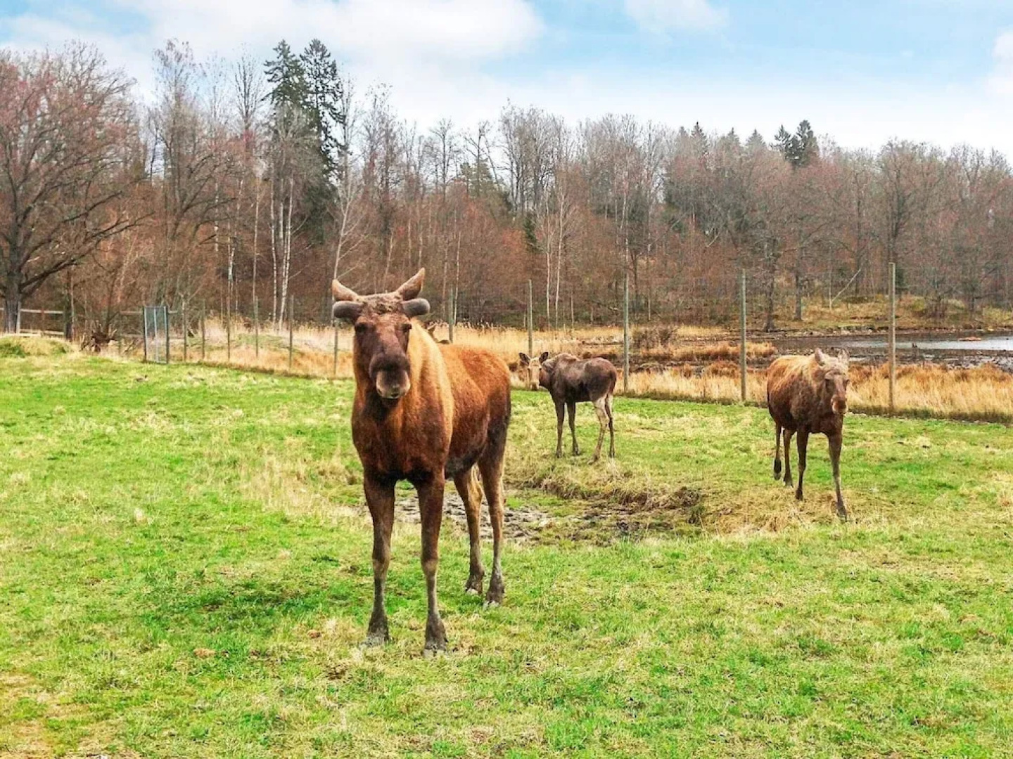 6 Person Holiday Home in Stjarnhov-by Traum