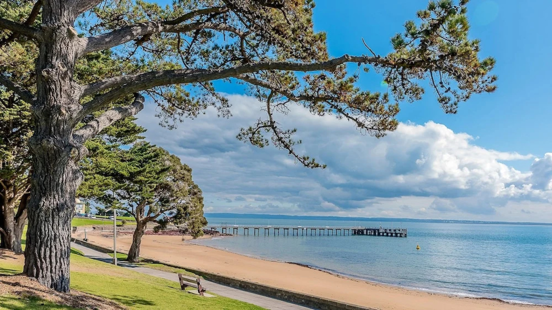 Cscape Beachfront Apartments