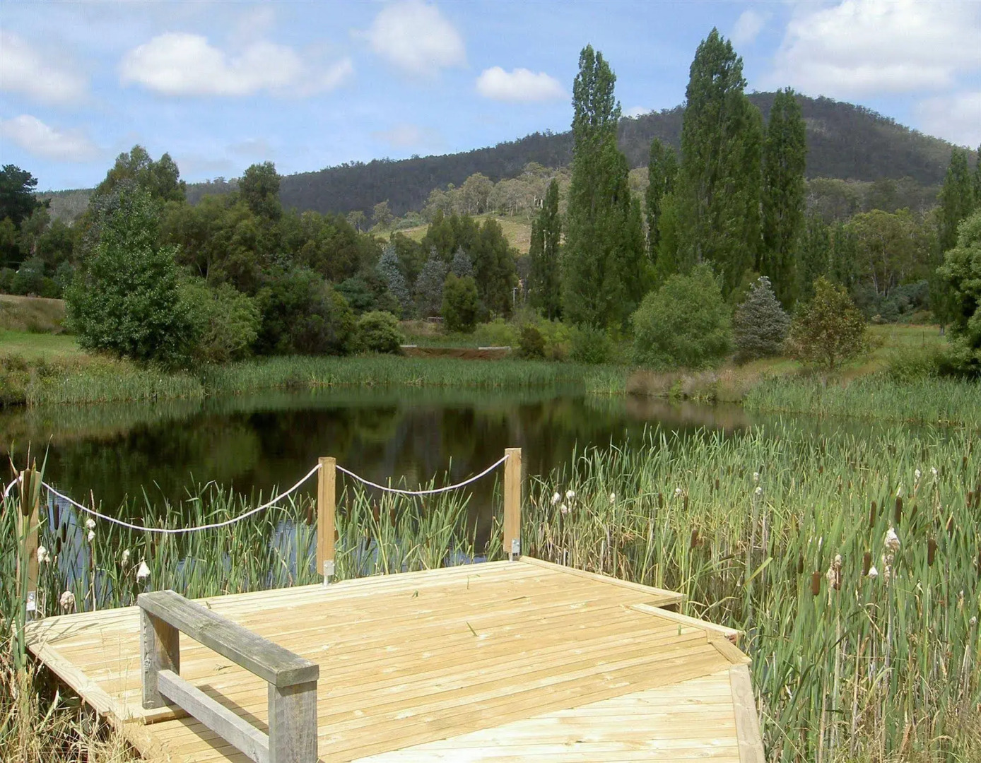 Hamlet Downs Country Accommodation