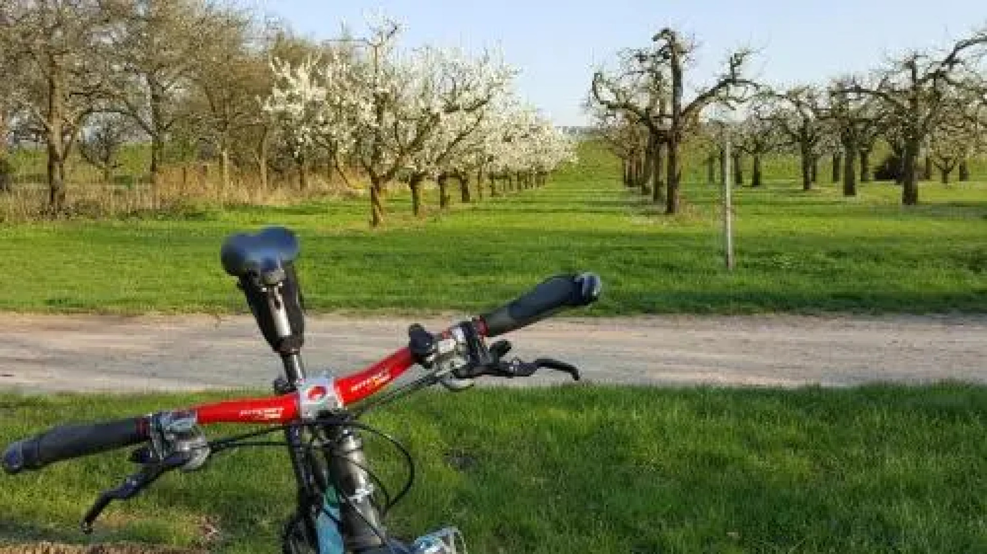 Ruthmann-Rheinblick Hotel