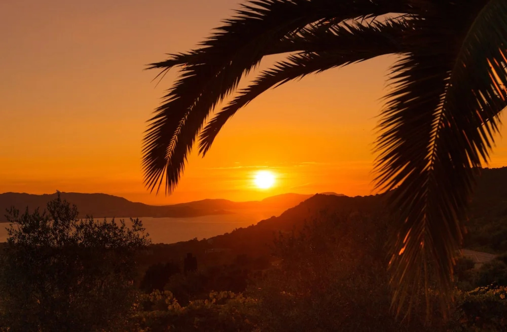 Domaine Paradisu - Villa la Palmeraie