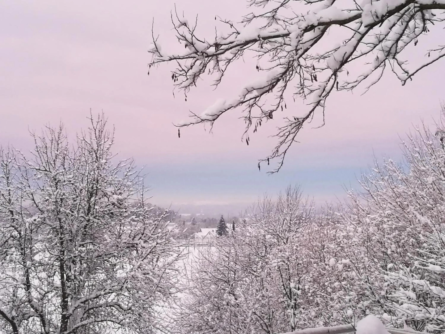 Apartment Green Elephant