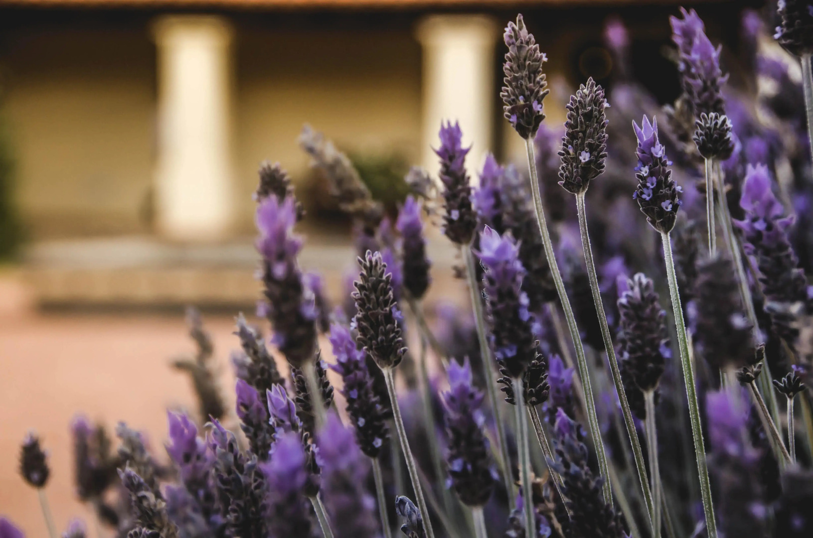 Viñas De Cafayate Wine Resort