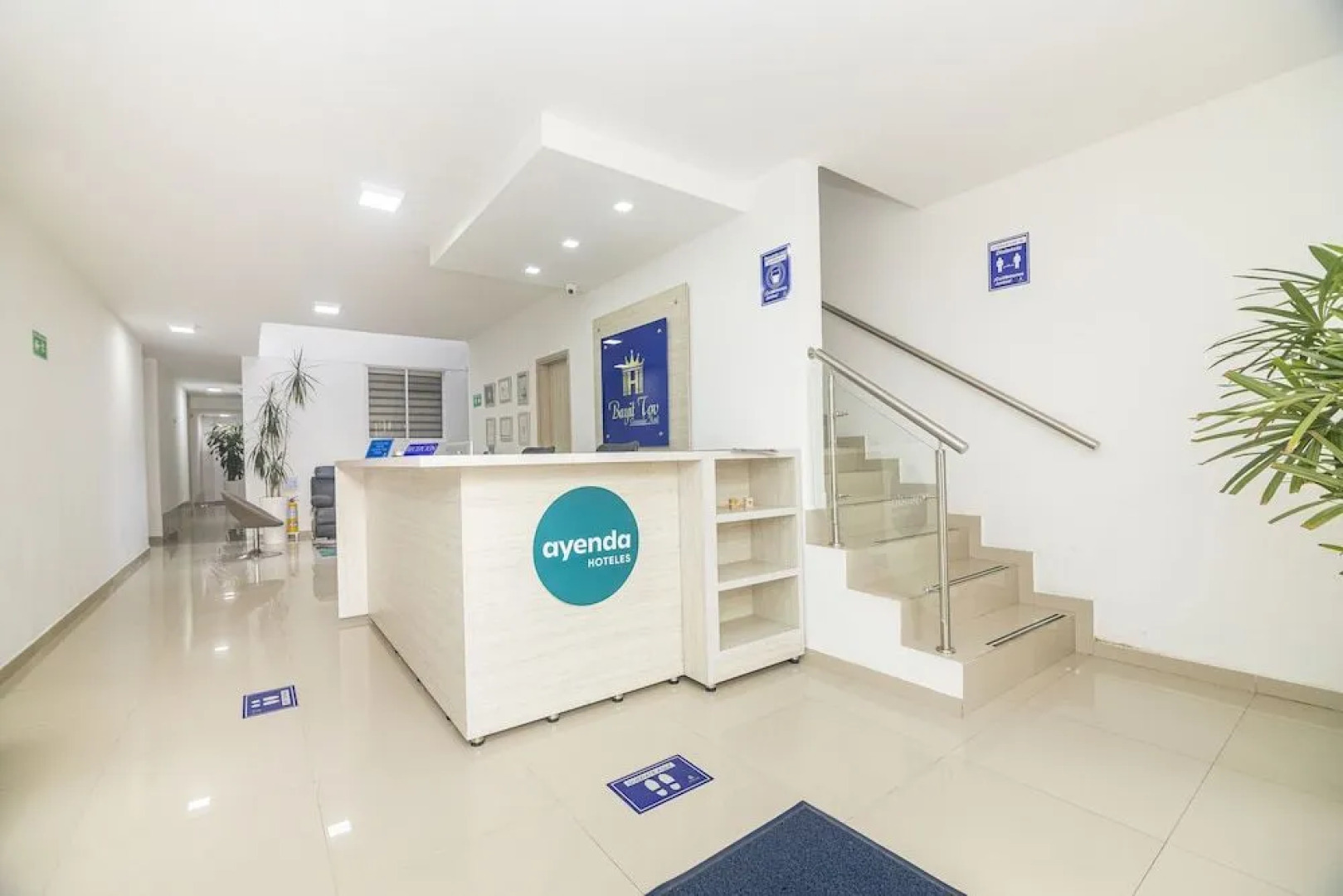 Ayenda Bayit Tov 1145