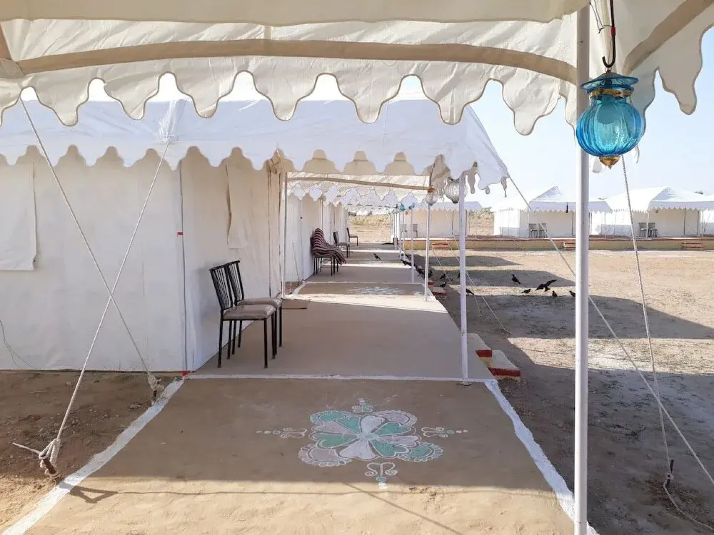 Rajasthan Desert Safari