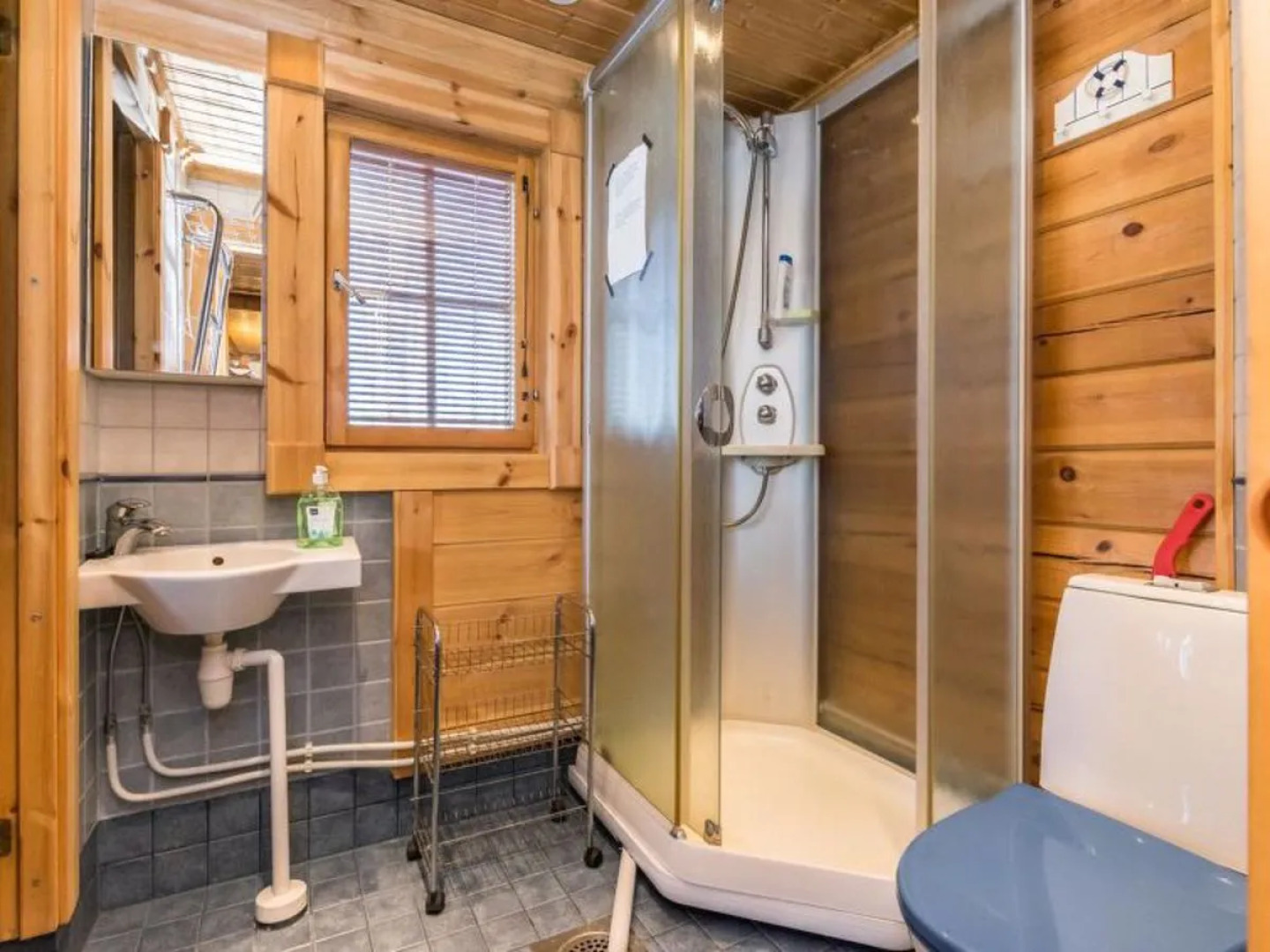 Puolen Hehtaarin Metsä