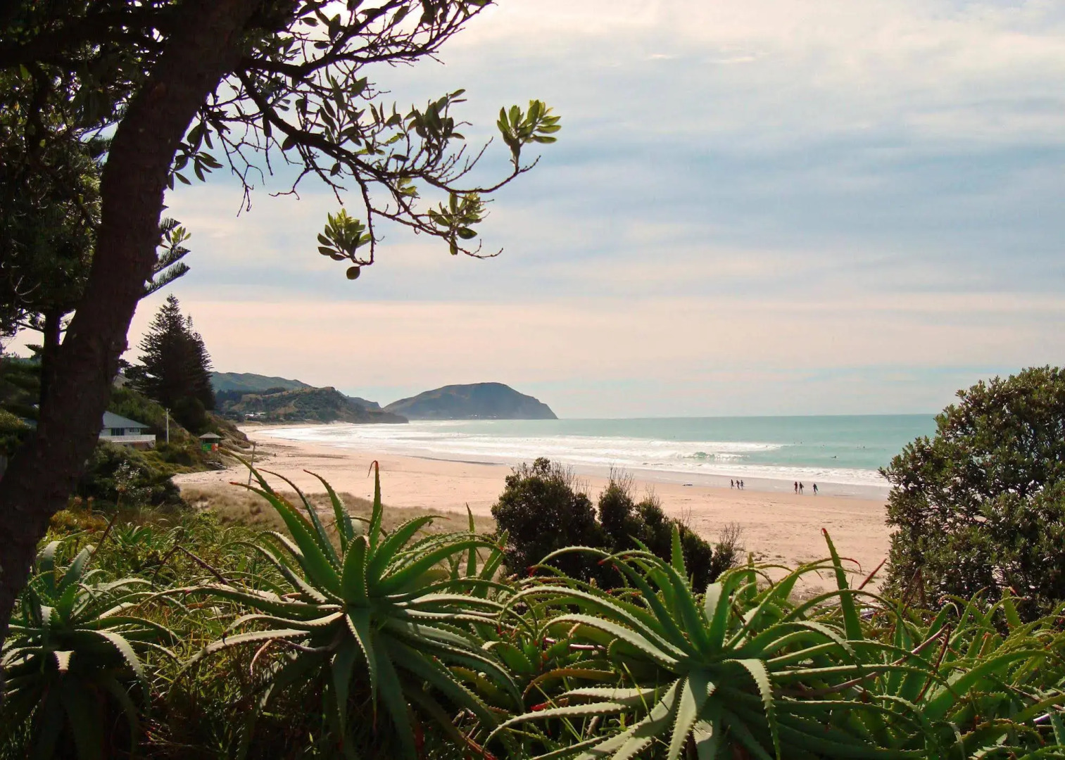 Ocean Beach Wainui