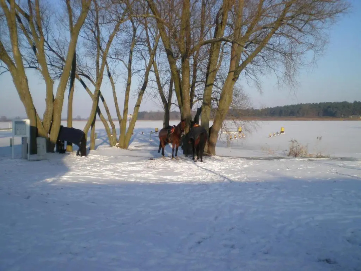 Ferienwohnung Borchert