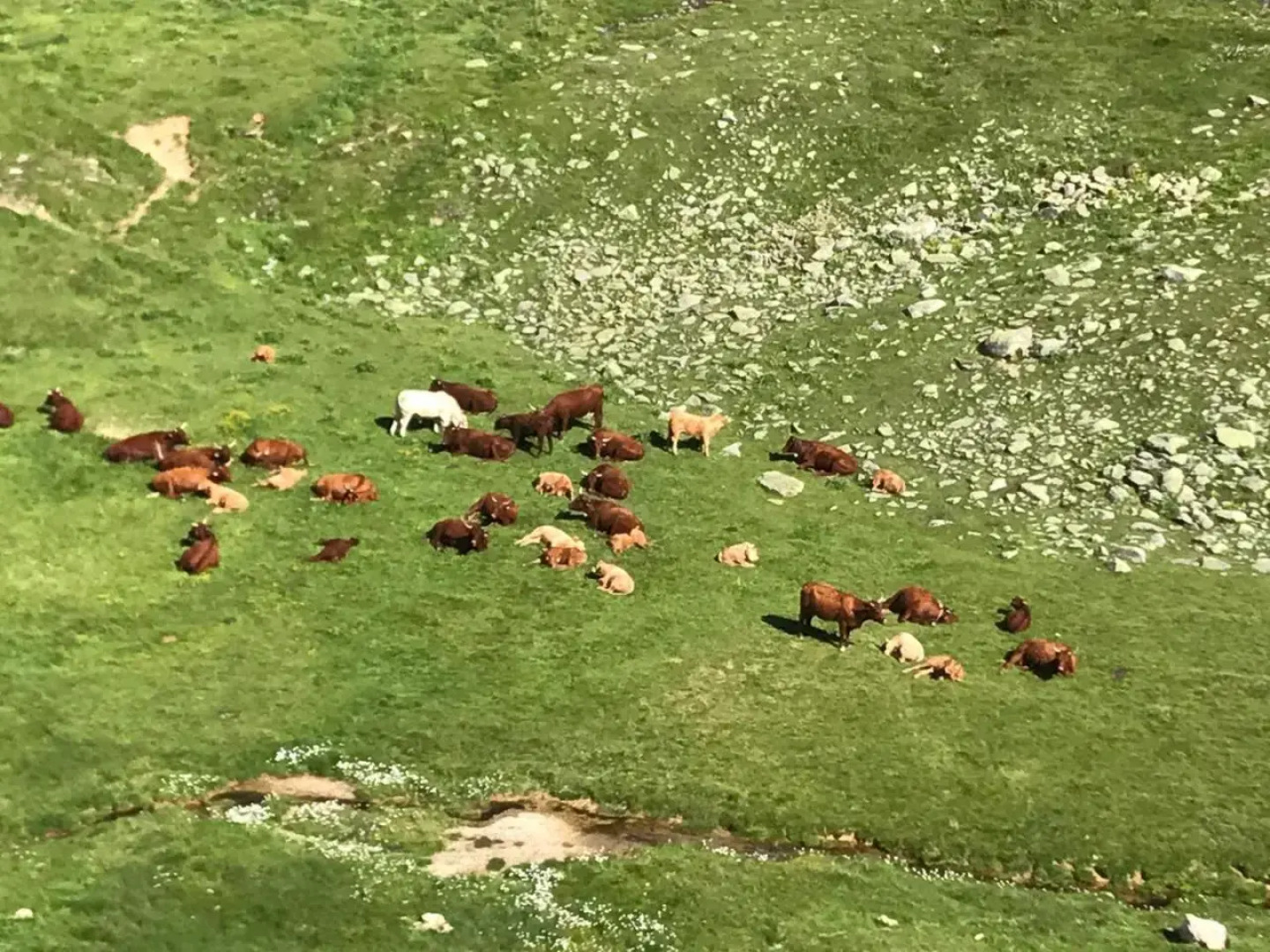 Résidence Les Pistes